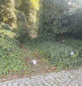 Fotografie hrobu: Josef František Heidelberg