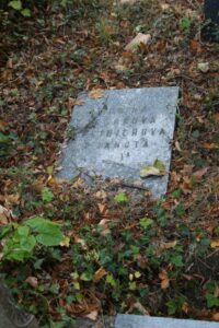 Fotografie hrobu: Vilém Kreibich