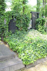 Fotografie hrobu: Josef Matoušek