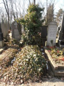 Fotografie hrobu: Otakar Nebuška