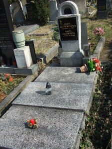 Fotografie hrobu: Darja Slámová