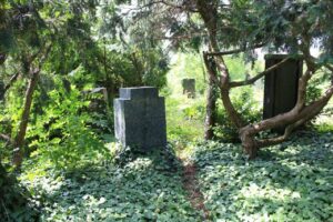 Fotografie hrobu: Bohuš Zakopal