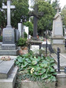 Fotografie hrobu: Johann Nepomuk Ehrlich