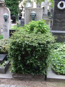 Fotografie hrobu: Stanislav Muž