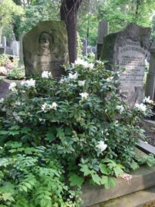 Fotografie hrobu: Antonín Waldhauser