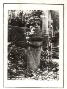 Fotografie hrobu: Ludvík Veverka