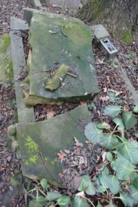 Fotografie hrobu: Blažena Částková Mejkalová