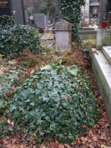 Fotografie hrobu: Emanuel  Friedberg-Mírohorský