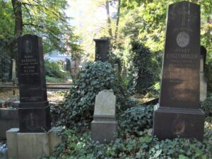 Fotografie hrobu: Jakub  Malý