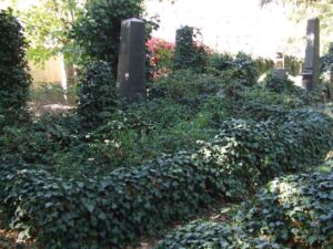 Fotografie hrobu: Ferdinand Vališ