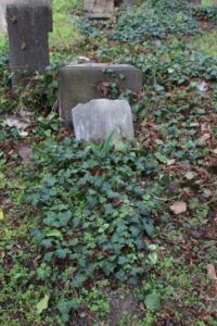 Fotografie hrobu: Albína Dvořáková Mráčková