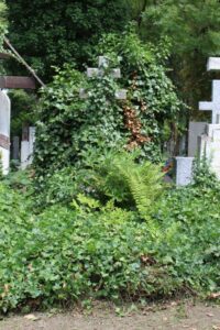 Fotografie hrobu: Julian Andrejevič Javorskij