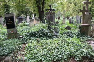 Fotografie hrobu: Berta Mühlsteinová