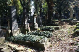 Fotografie hrobu: Jiří Myron