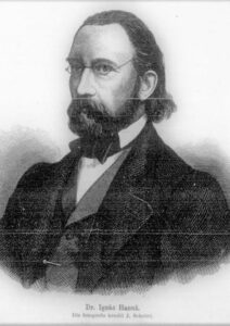 Fotografie hrobu: Ignác Jan Hanuš