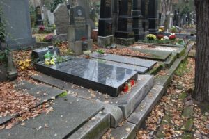 Fotografie hrobu: Georges Frederic Antoine Mohl