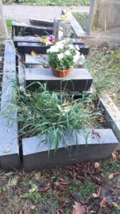 Fotografie hrobu:  Nedbalovi