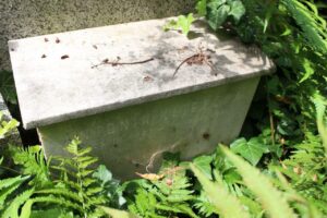 Fotografie hrobu: Antonín Klicpera