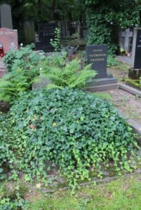 Fotografie hrobu: Vlasta Štáflová