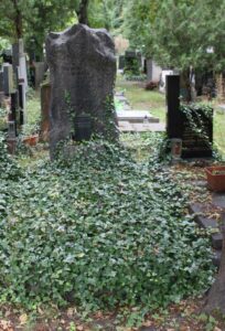 Fotografie hrobu: Zikmund Winter