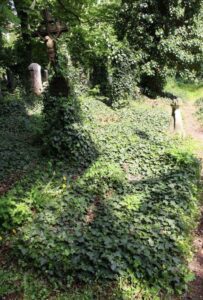 Fotografie hrobu: Ferdinad Brenner