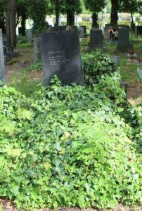 Fotografie hrobu: Václav Grgurič