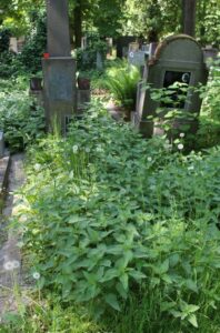 Fotografie hrobu: Václav Pilát