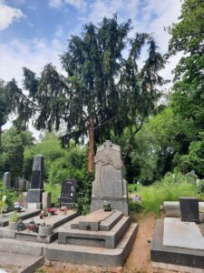 Fotografie hrobu: Růžena Maturová