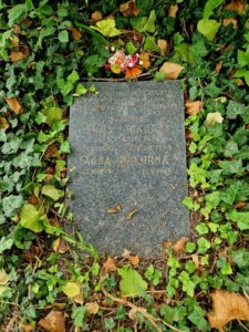 Fotografie hrobu: Amos Pokorný