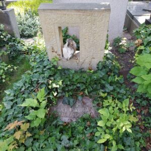 Fotografie hrobu: Taťjana Hašková