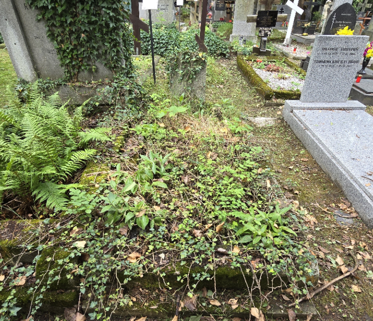 Nikolaj Mogiljanskij