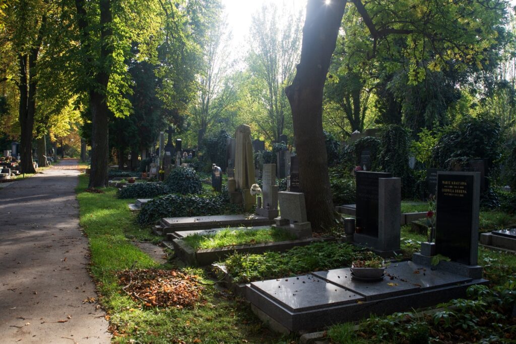 Komentované procházky v říjnu 2025